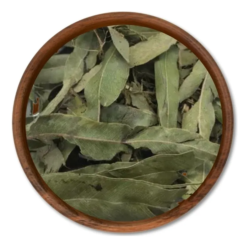FOLHA DE EUCALIPTO 100g